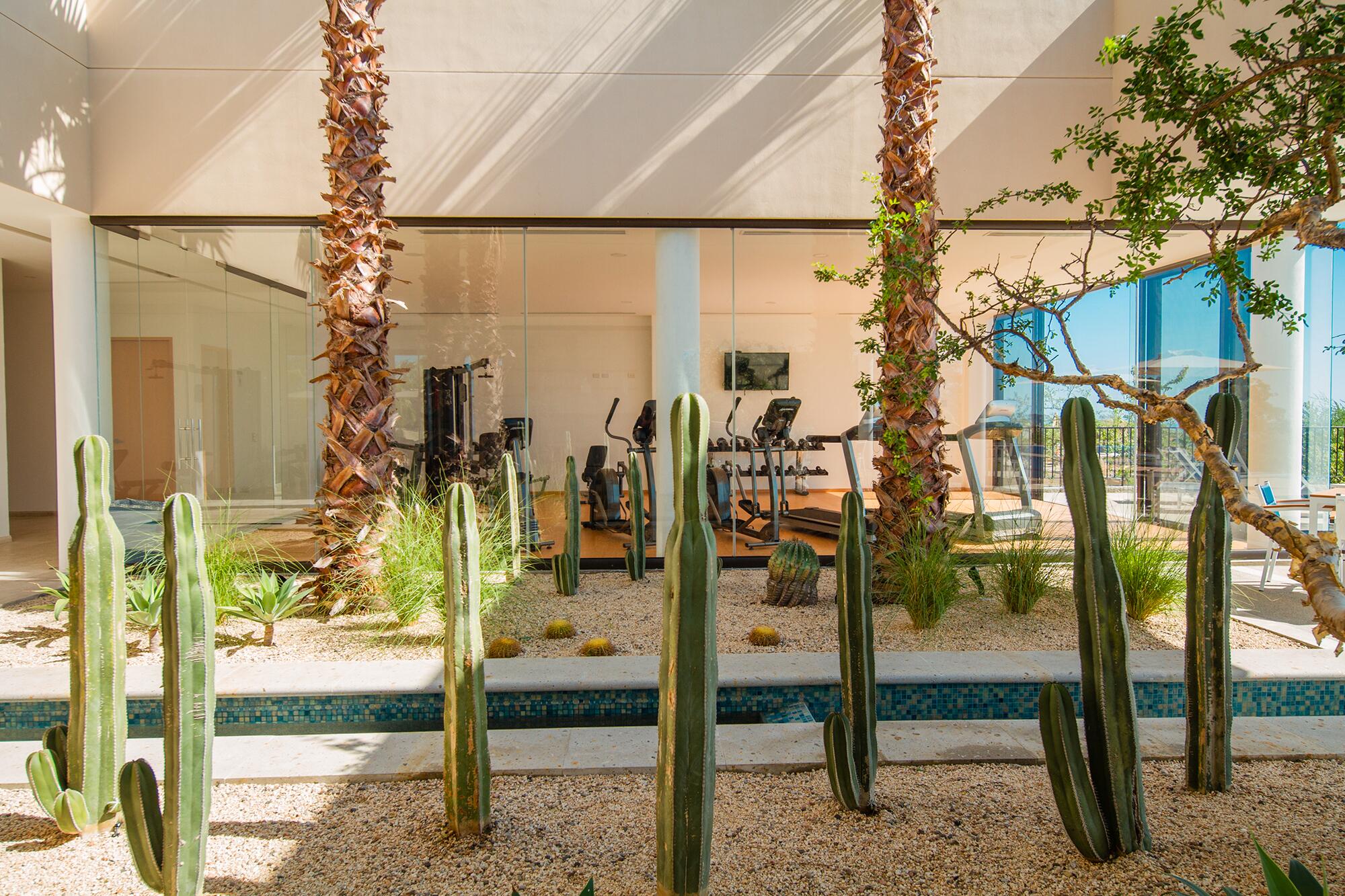 MLS #24-817 image #21