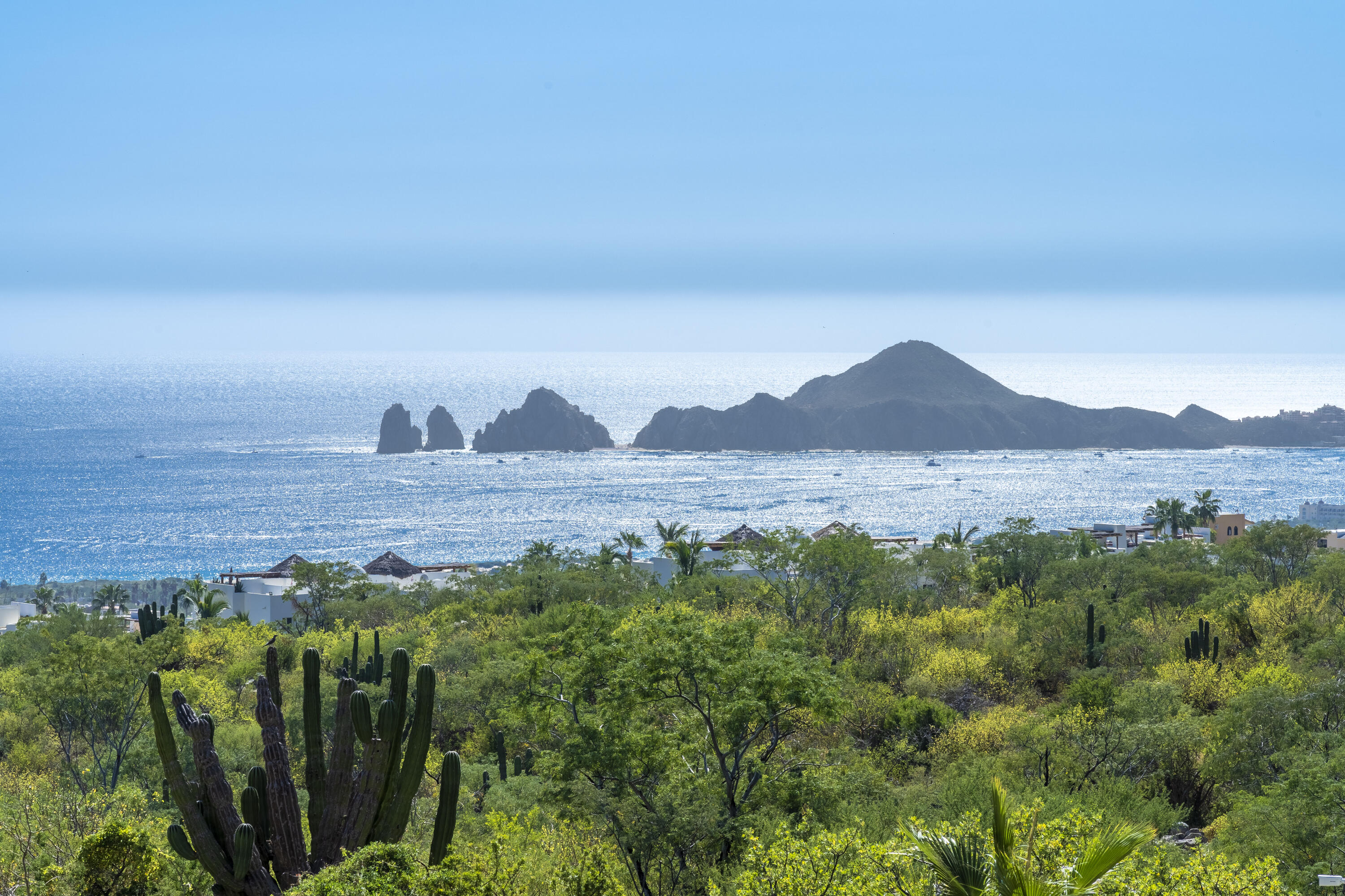 MLS #24-817 image #22