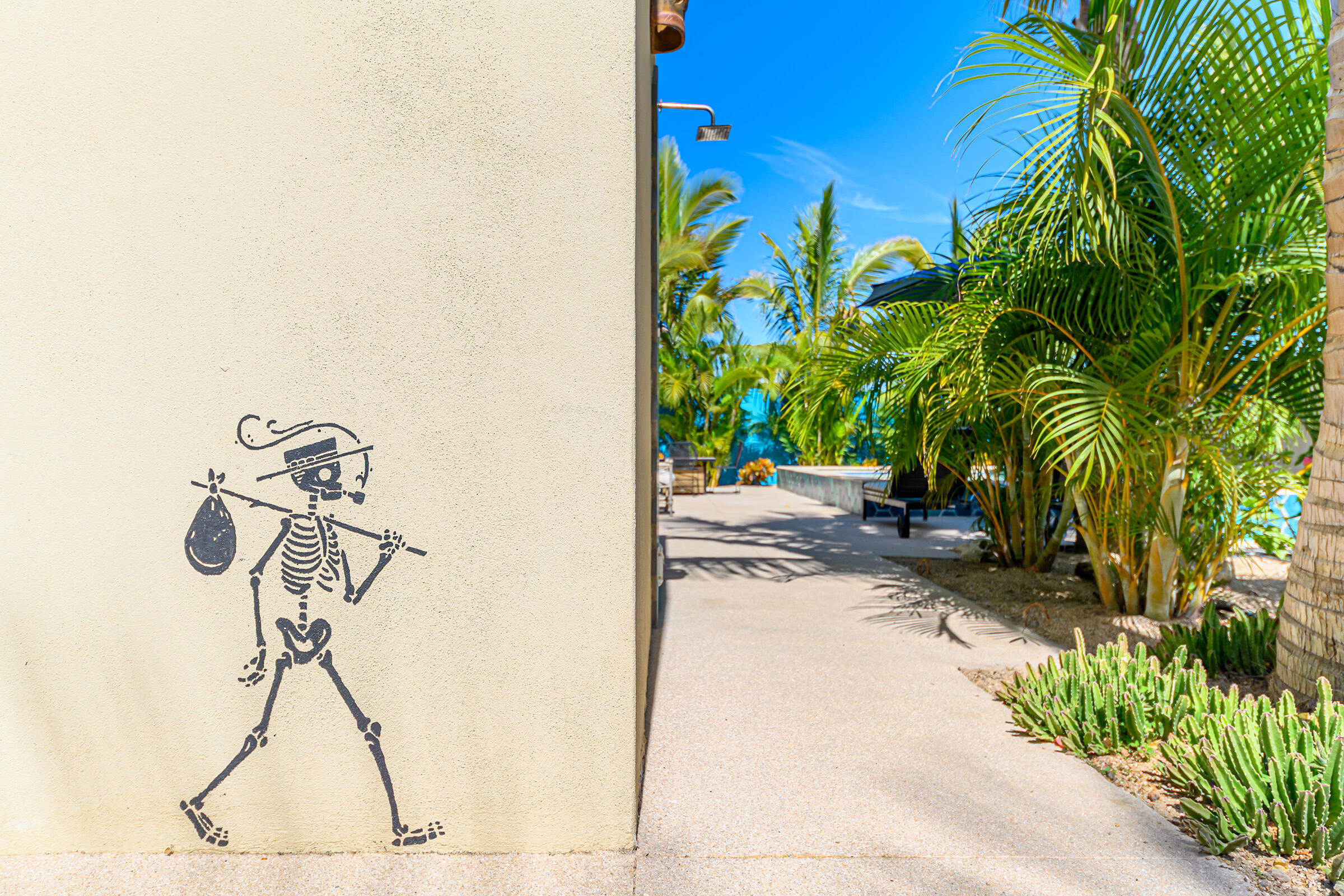 MLS #24-834 image #25