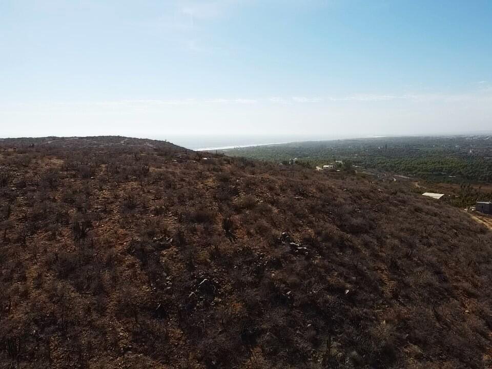 MLS #24-906 image #8