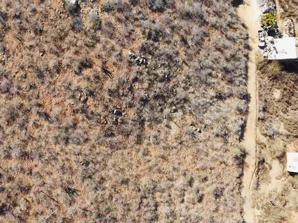 MLS #24-906 image #9