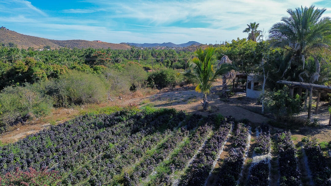 MLS #24-912 image #10