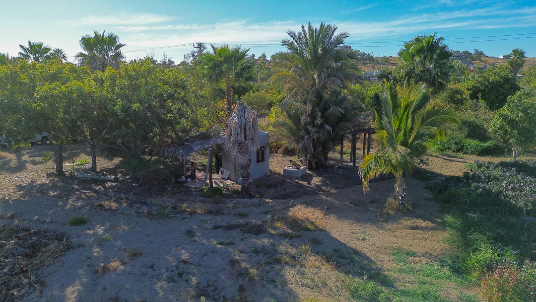 MLS #24-912 image #11