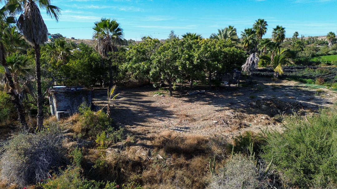 MLS #24-912 image #12