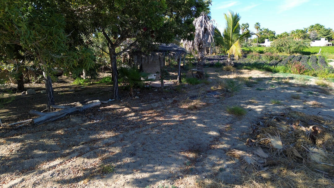 MLS #24-912 image #13