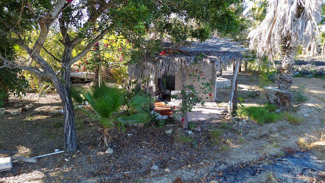 MLS #24-912 image #14