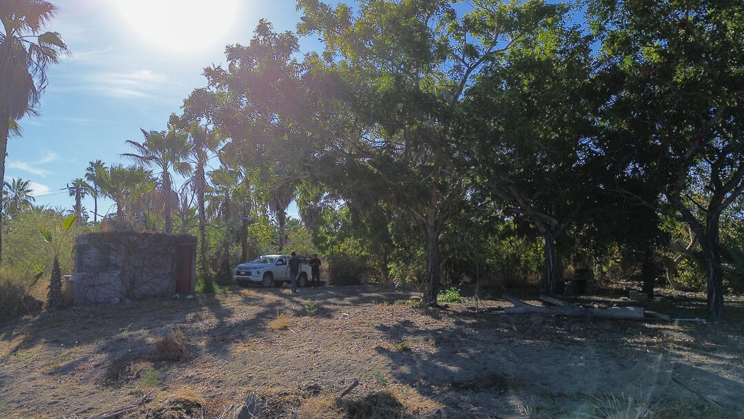 MLS #24-912 image #15