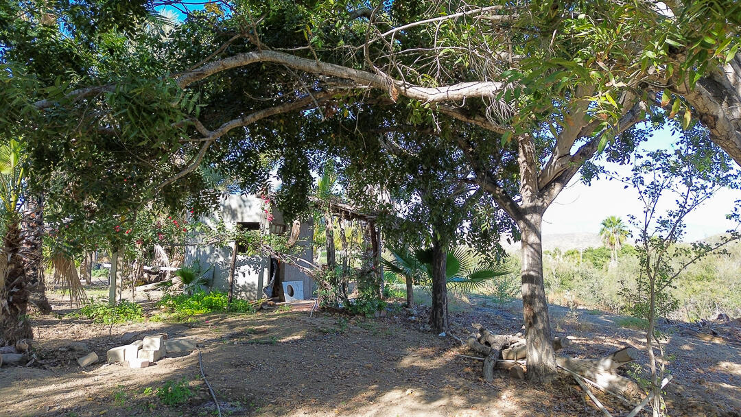 MLS #24-912 image #16