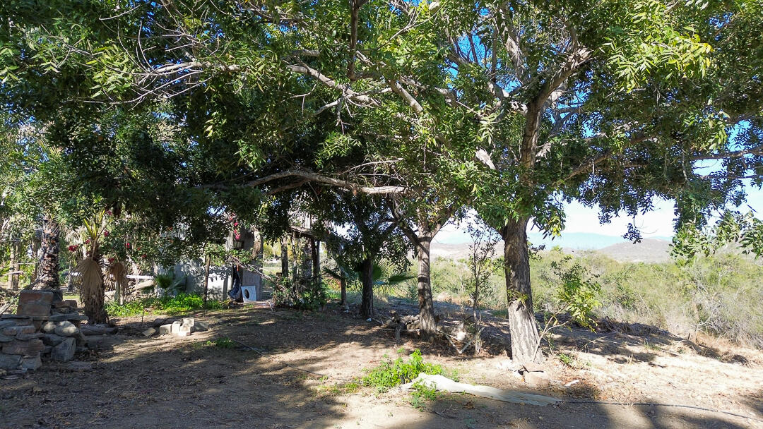 MLS #24-912 image #17