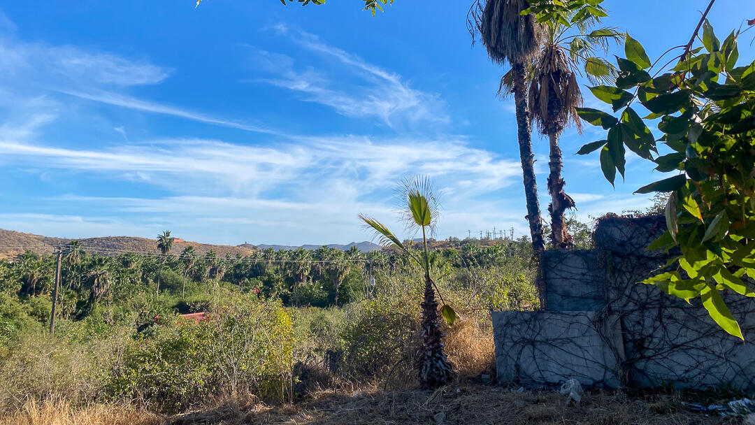 MLS #24-912 image #18