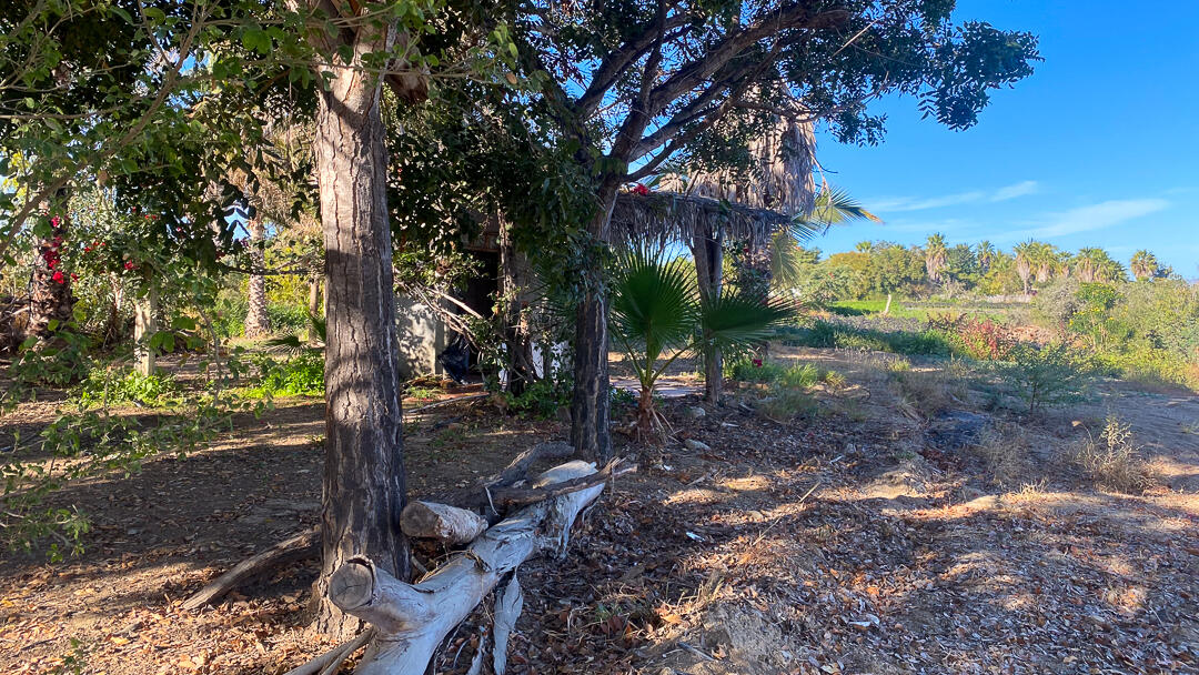 MLS #24-912 image #19