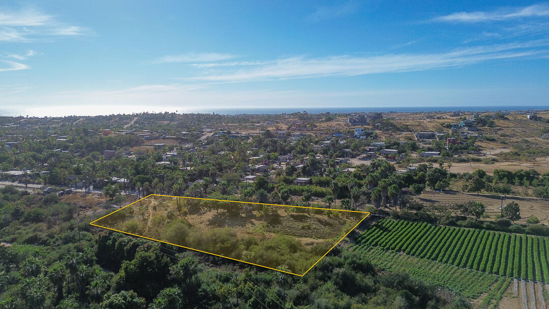 BARRIO LAS FLORES VIEW ORCHARD Pacific BCS MLS #24-912 39 MLS #24-912 image #2