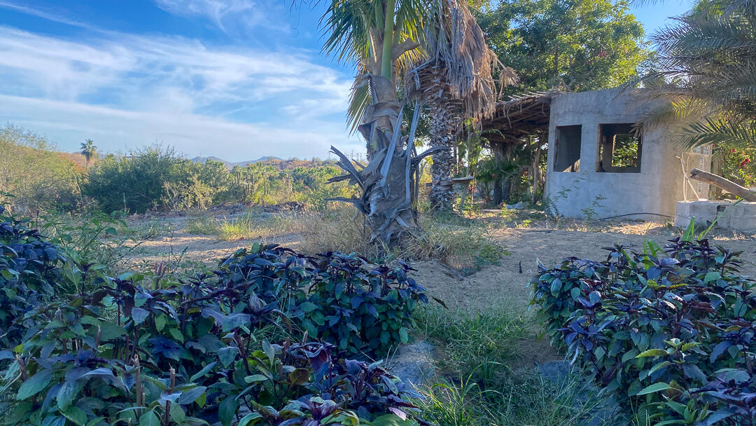 MLS #24-912 image #22