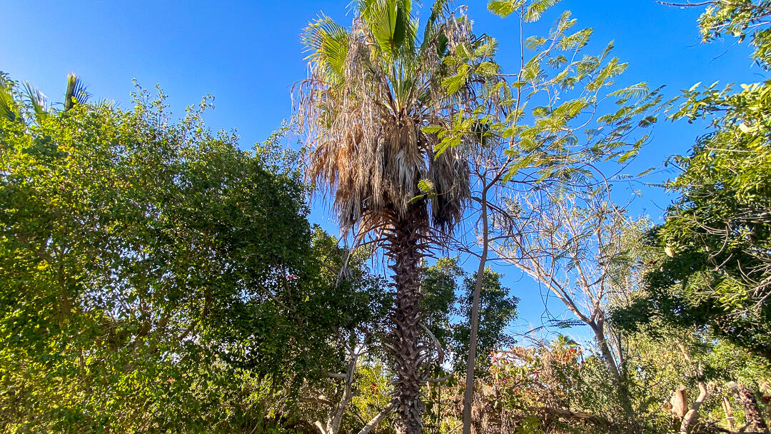 MLS #24-912 image #23