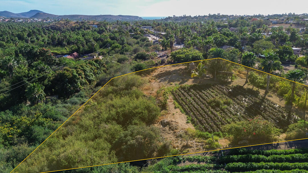 BARRIO LAS FLORES VIEW ORCHARD Pacific BCS MLS #24-912 40 MLS #24-912 image #3