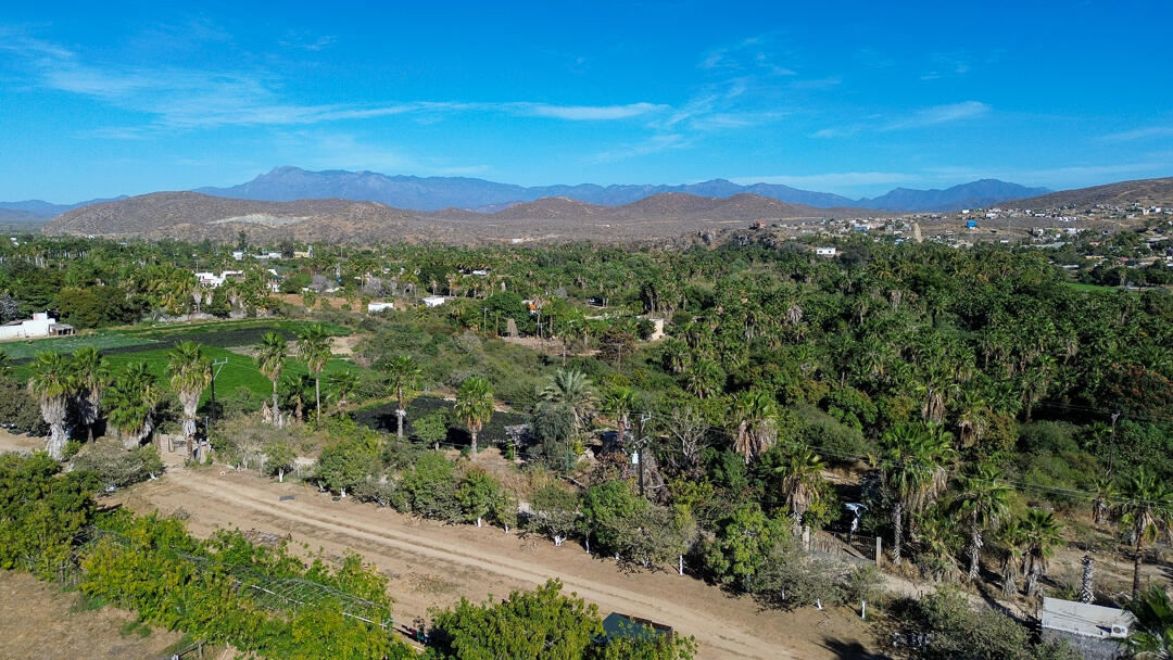 BARRIO LAS FLORES VIEW ORCHARD Pacific BCS MLS #24-912 41 MLS #24-912 image #4