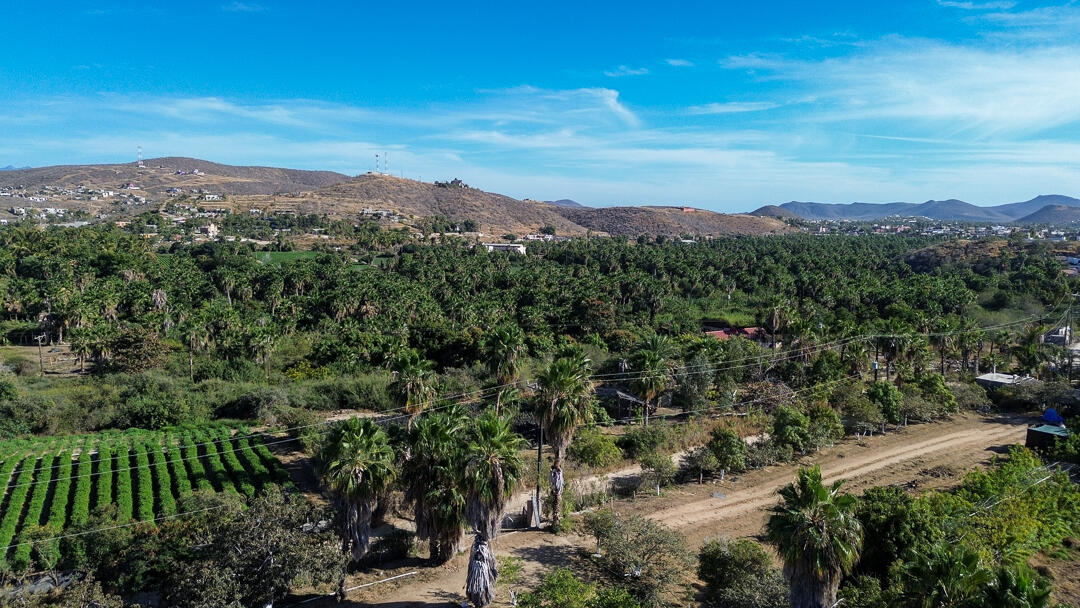 BARRIO LAS FLORES VIEW ORCHARD Pacific BCS MLS #24-912 42 MLS #24-912 image #5