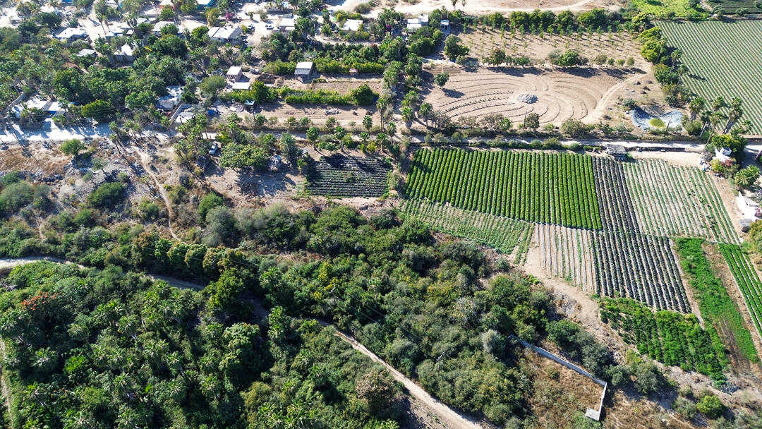 BARRIO LAS FLORES VIEW ORCHARD Pacific BCS MLS #24-912 43 MLS #24-912 image #6