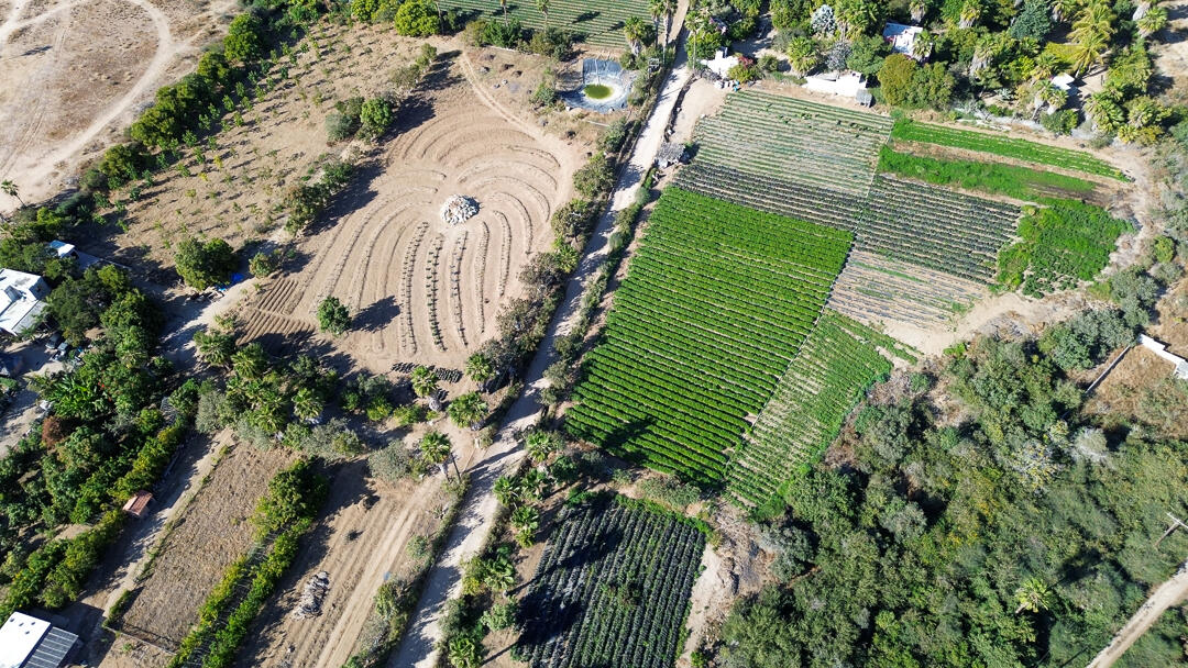 MLS #24-912 image #7