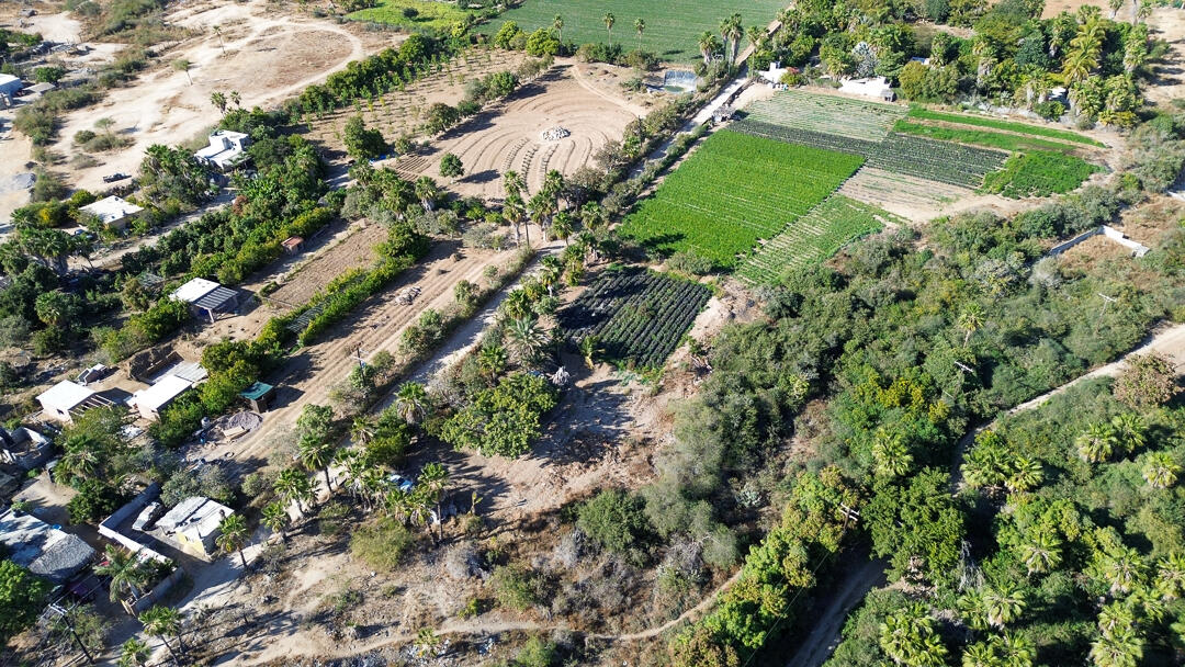 MLS #24-912 image #8