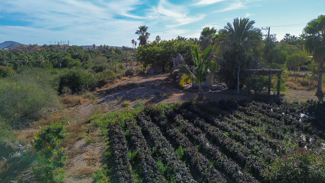 MLS #24-912 image #9