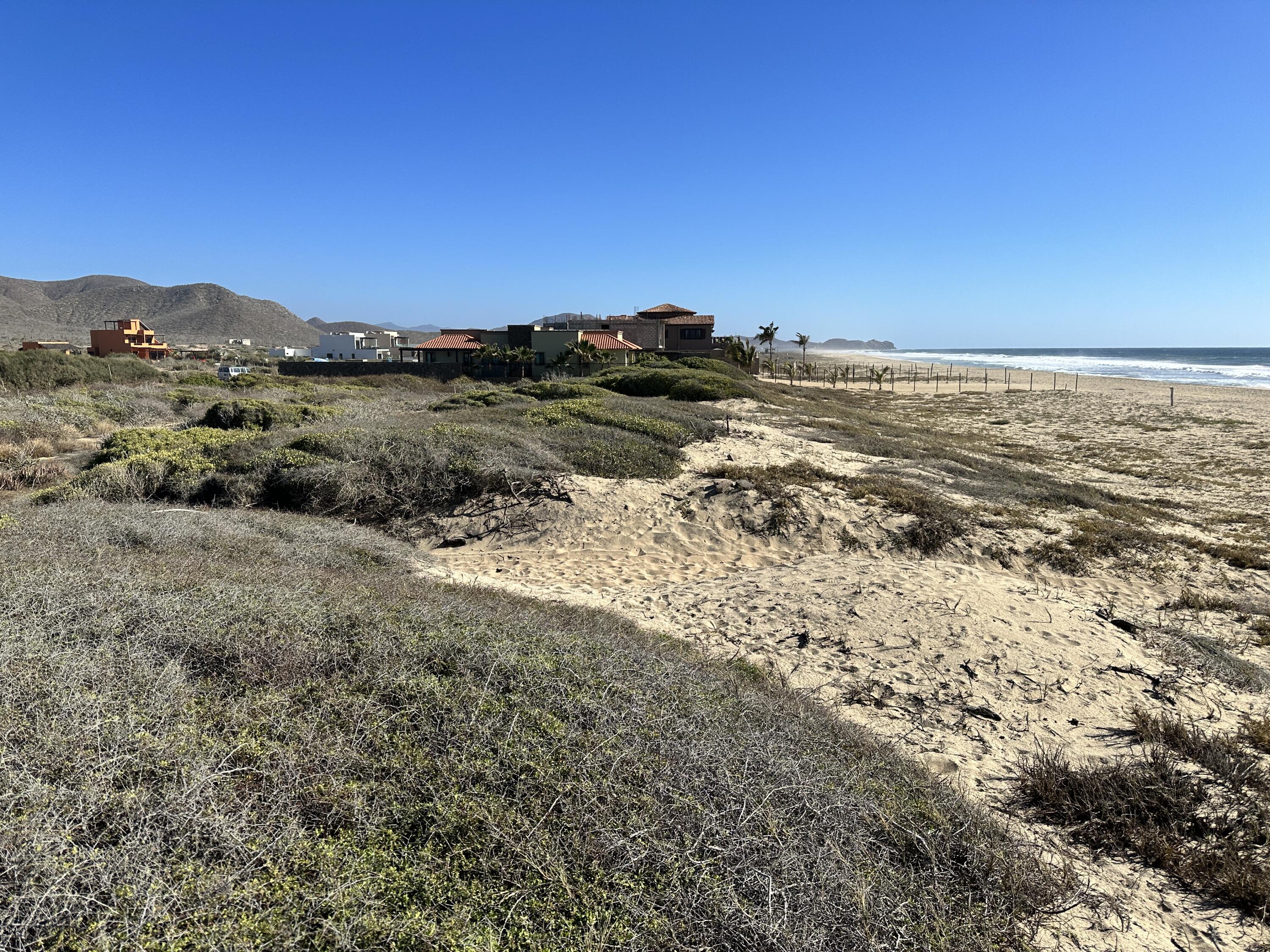 MLS #24-920 image #8