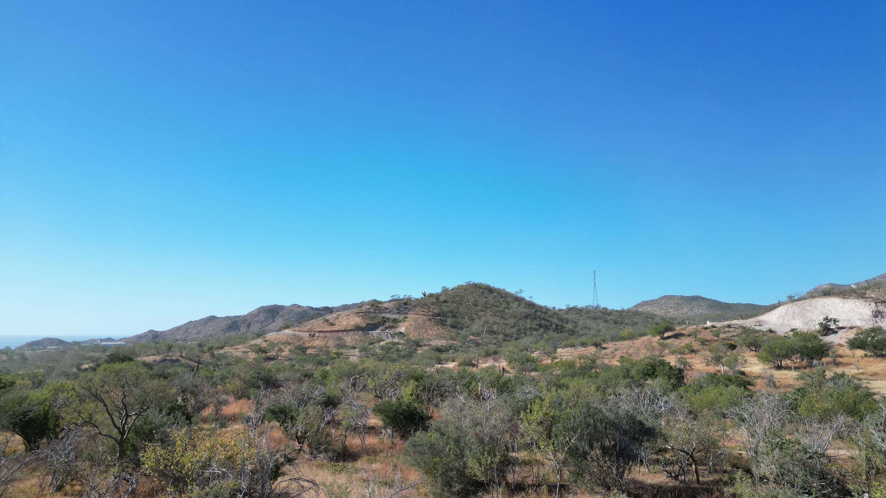 MLS #24-959 img 4