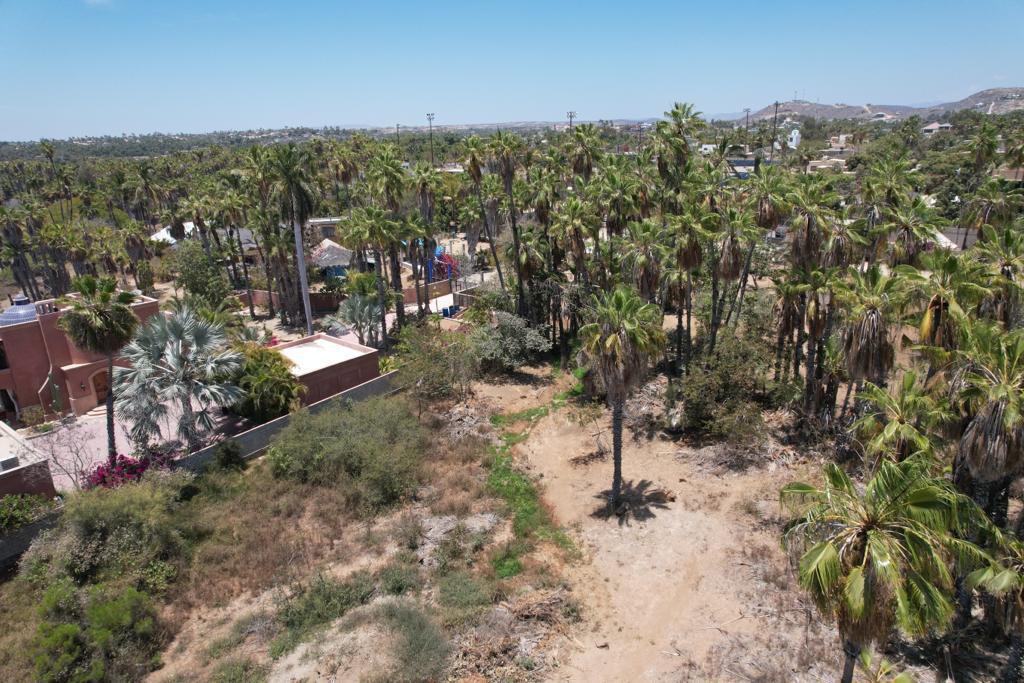 MLS #24-964 image #10