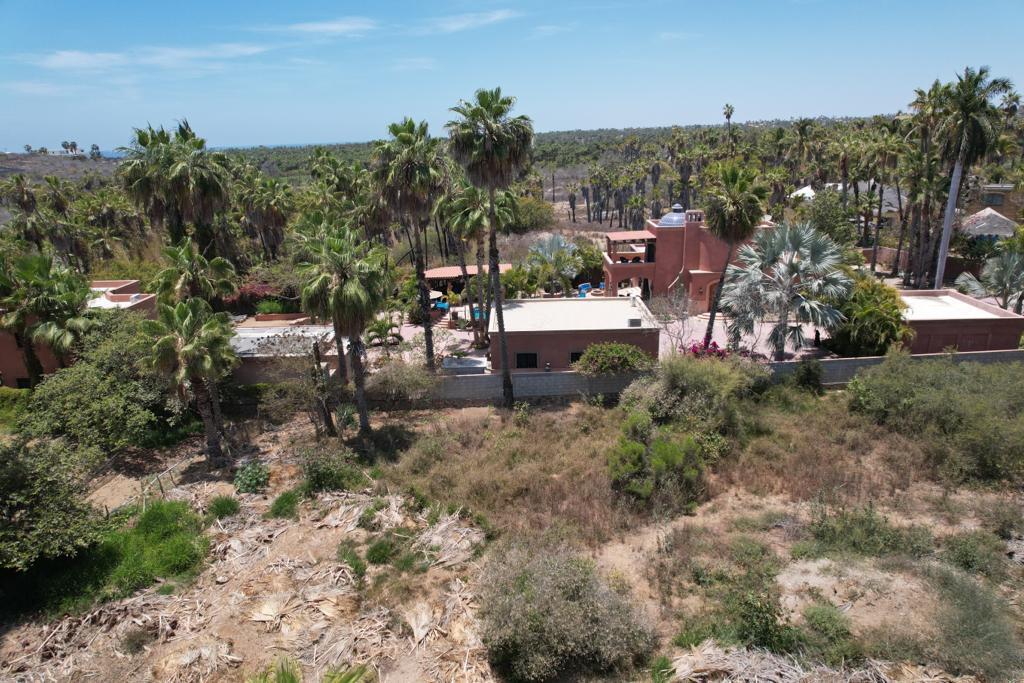 MLS #24-964 image #11