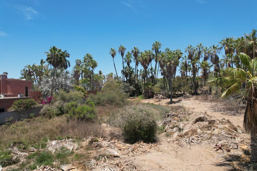 MLS #24-964 image #12