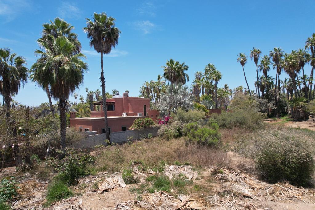 MLS #24-964 image #13