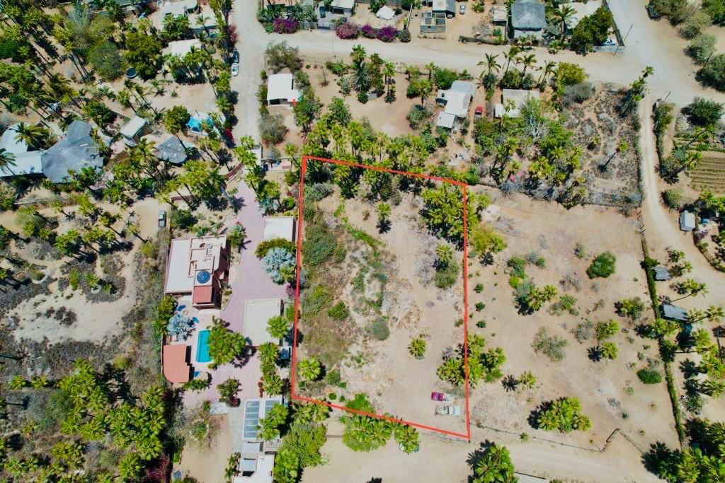 MLS #24-964 image #15