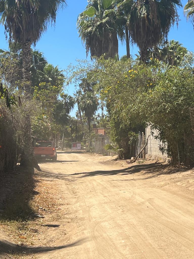 MLS #24-964 image #16