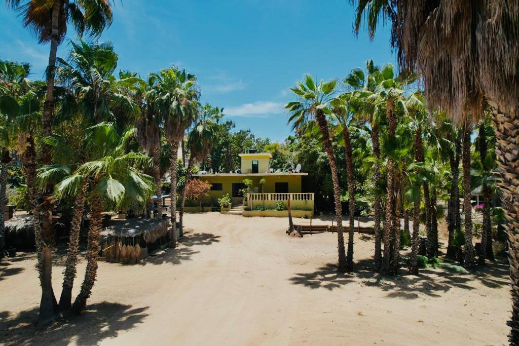 MLS #24-964 image #9