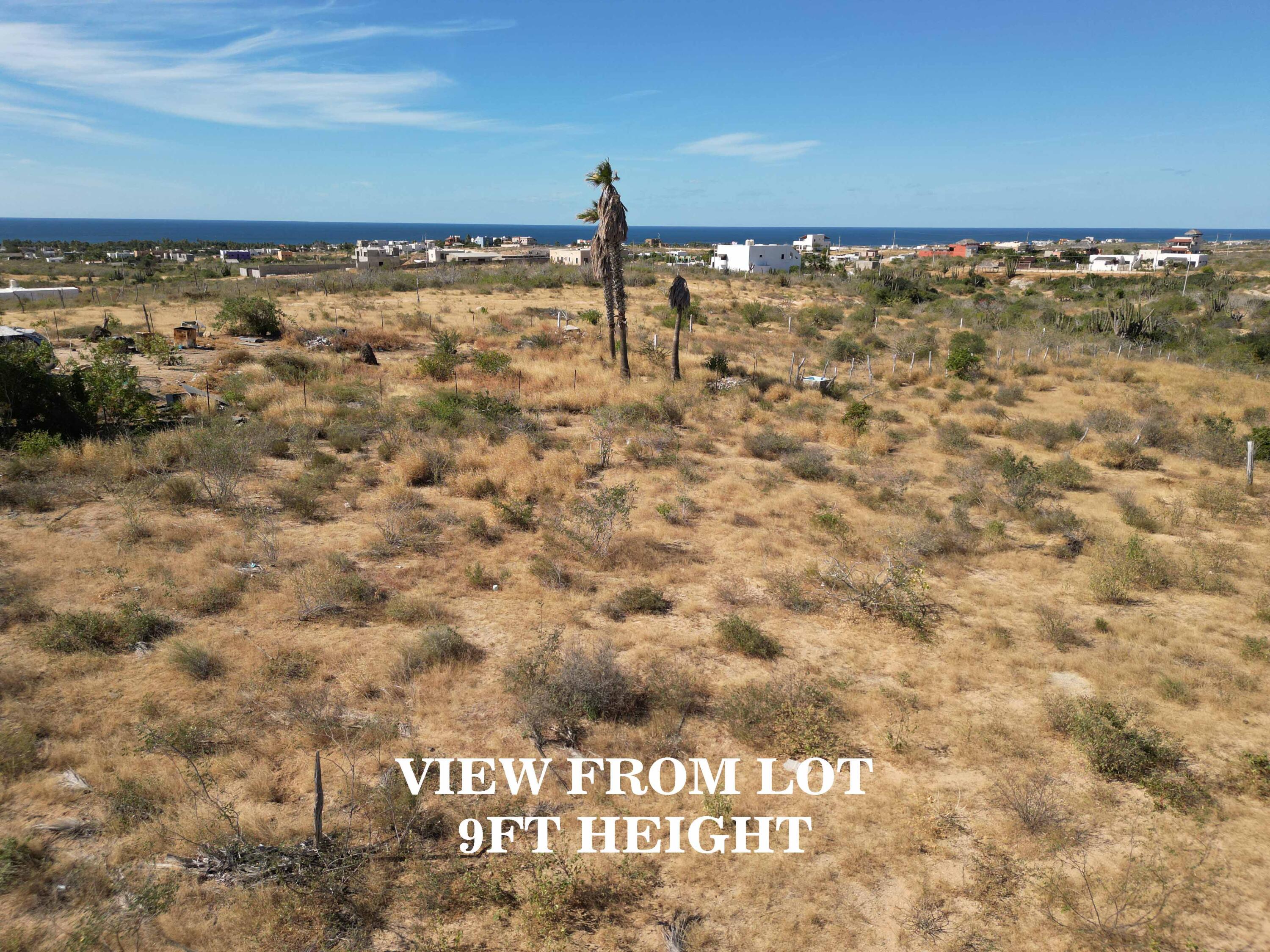 MLS #24-973 image #13