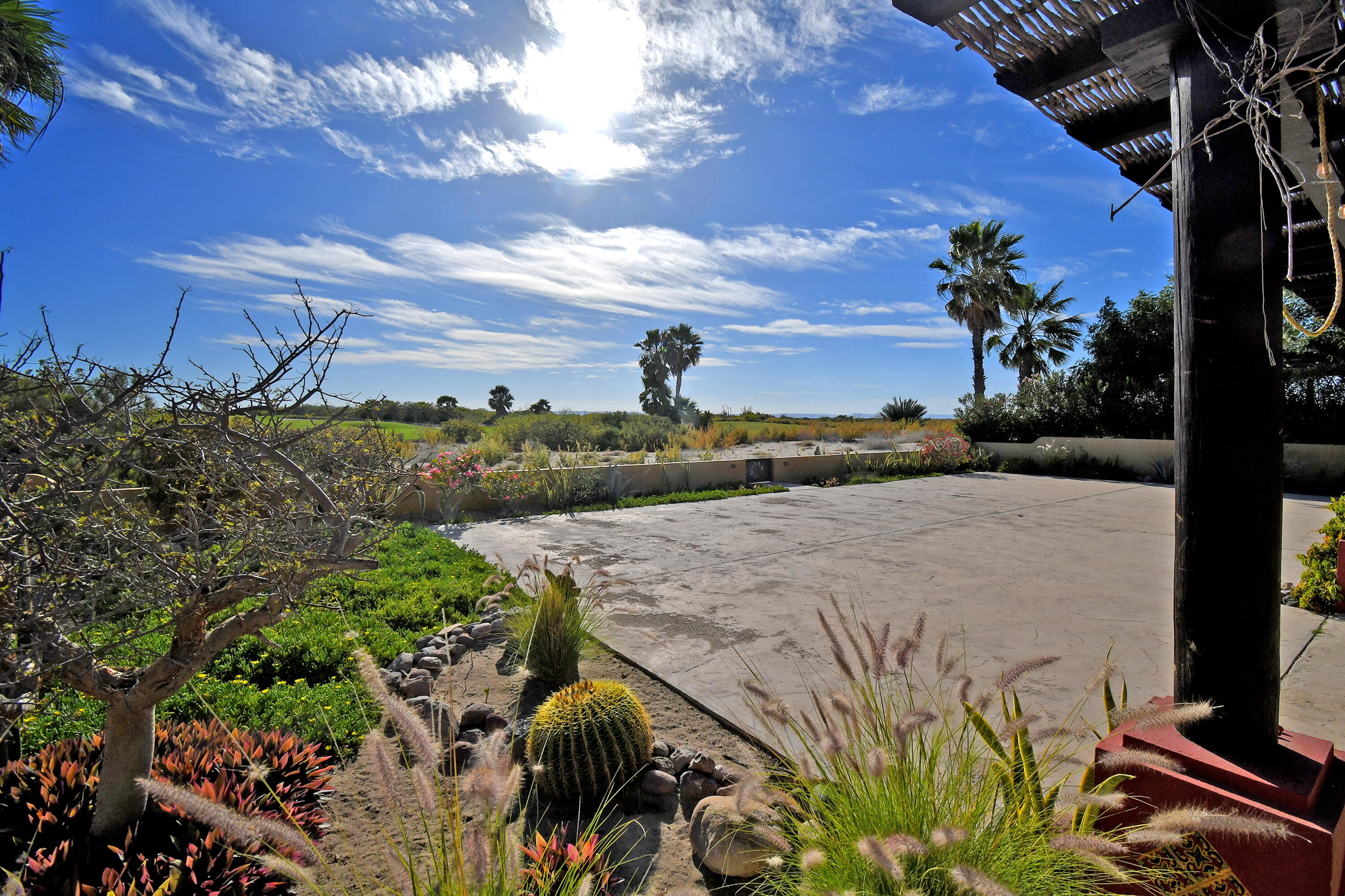 MLS #24-981 image #21