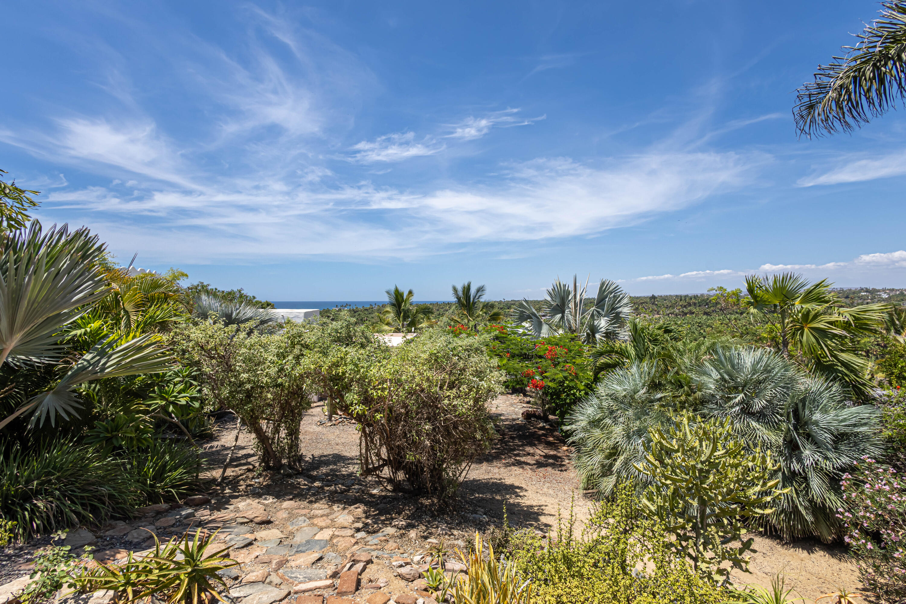 MLS #24-993 image #31