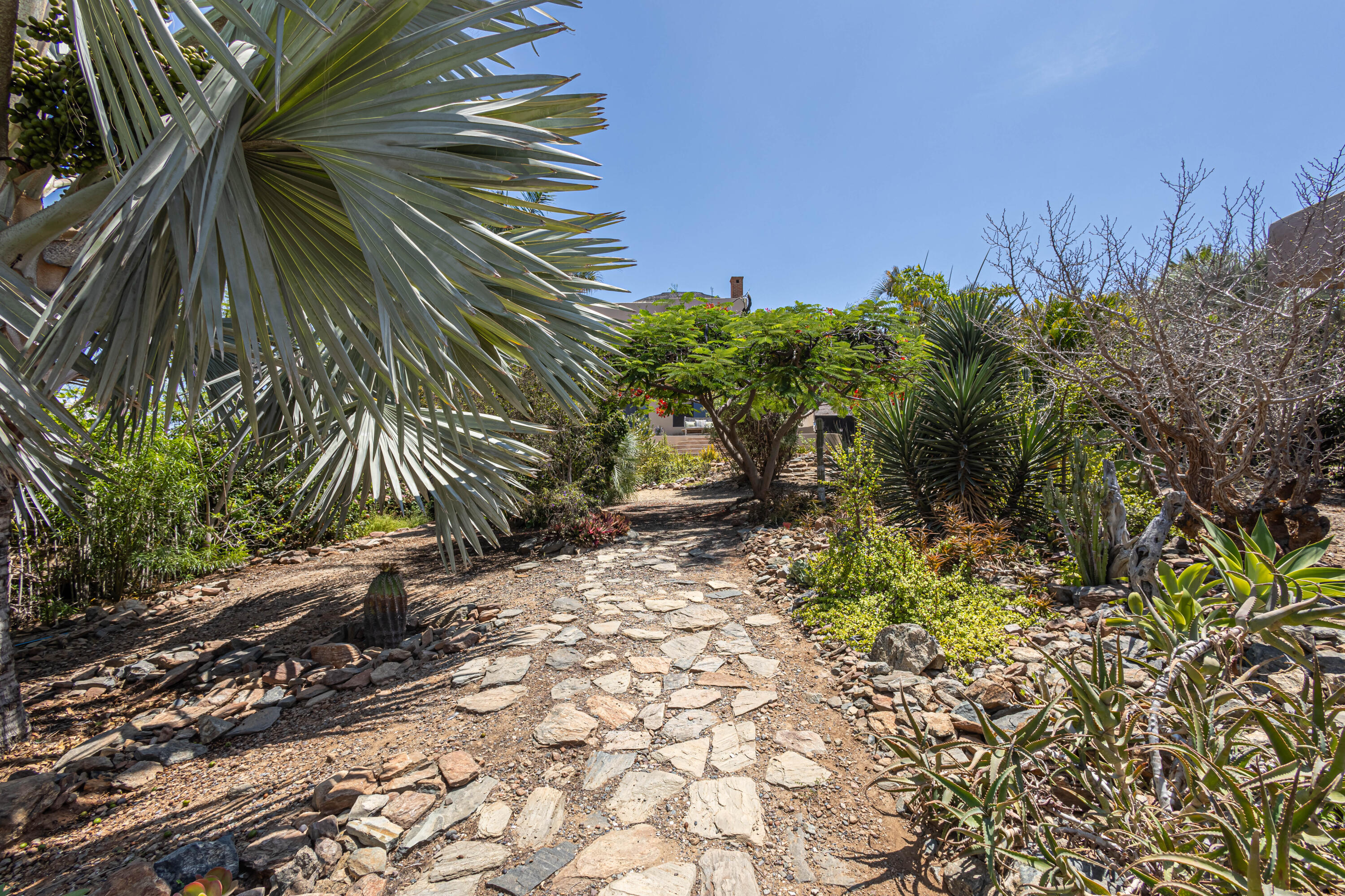 MLS #24-993 image #32