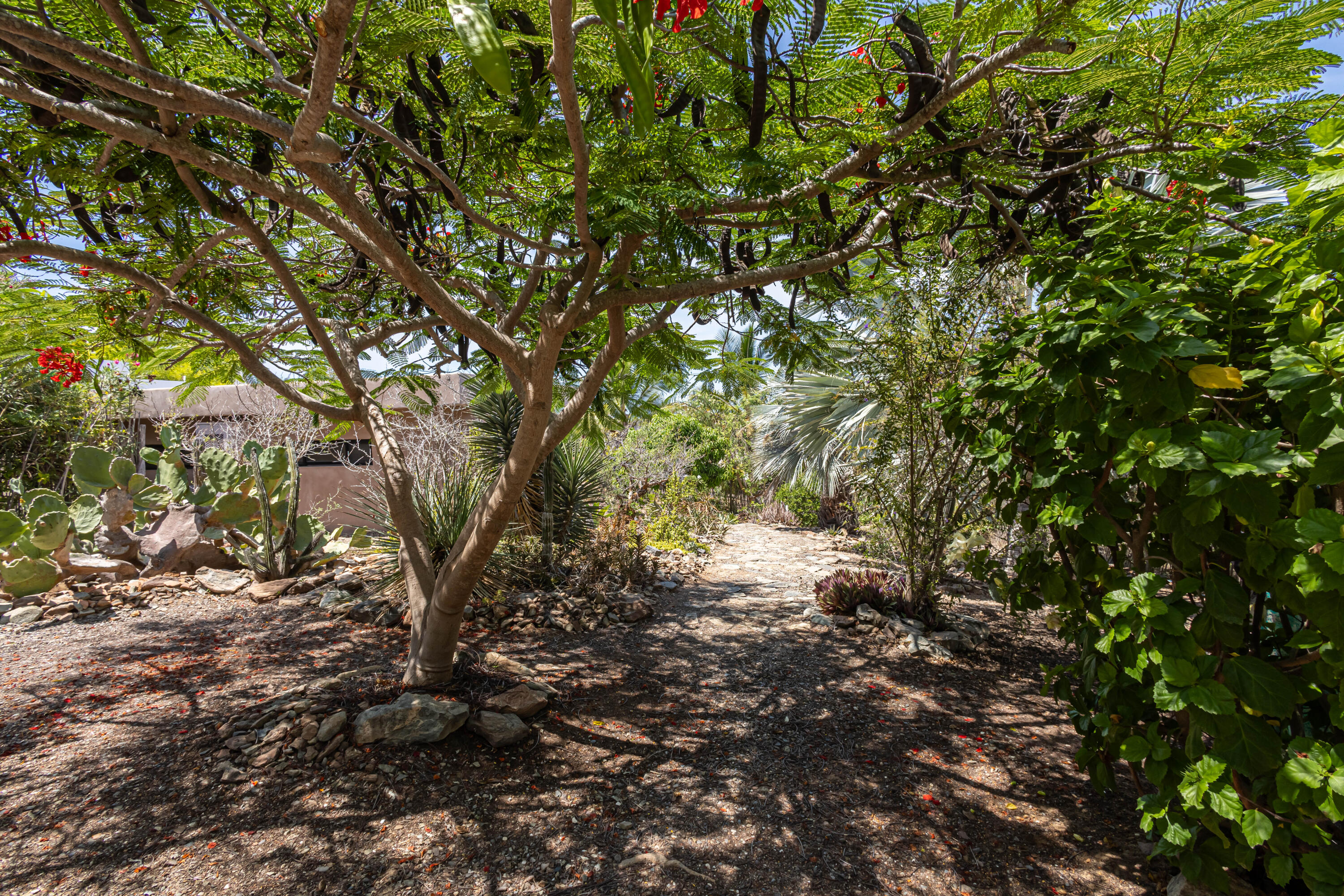 MLS #24-993 image #33