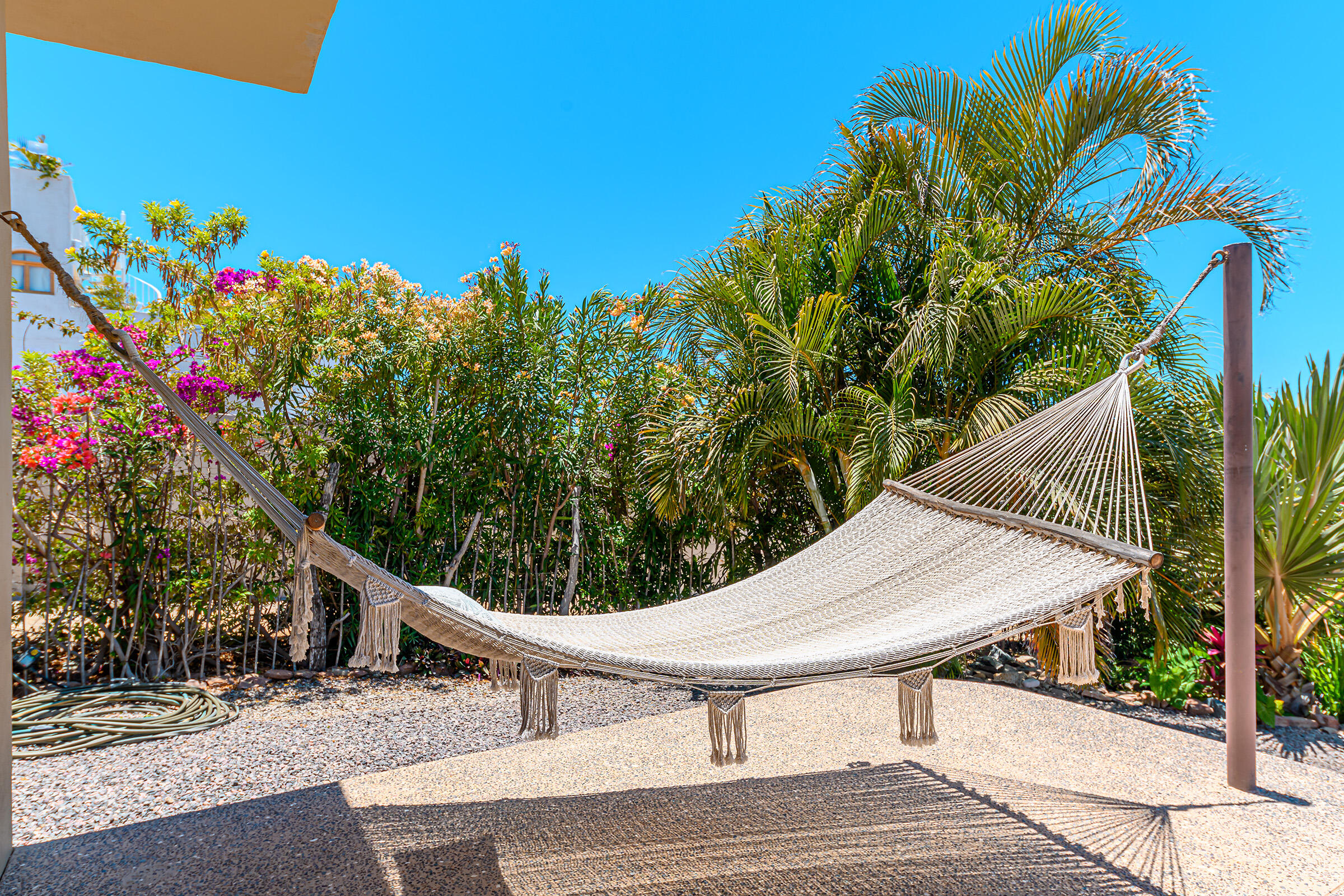 MLS #24-993 image #7