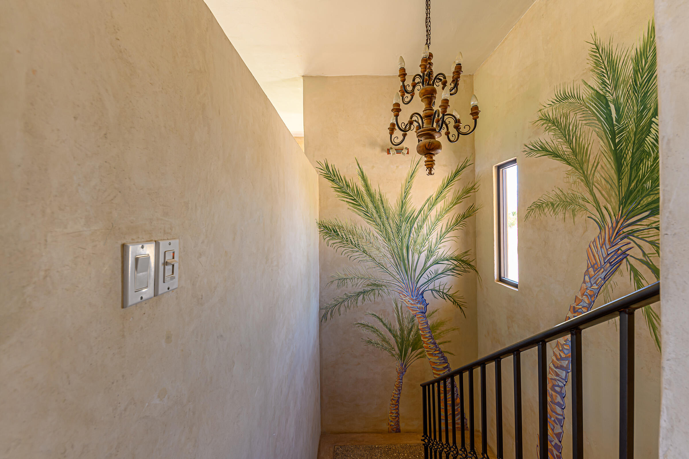 MLS #24-993 image #9