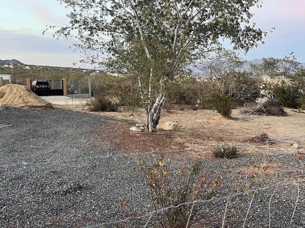 MLS #25-1038 image #10