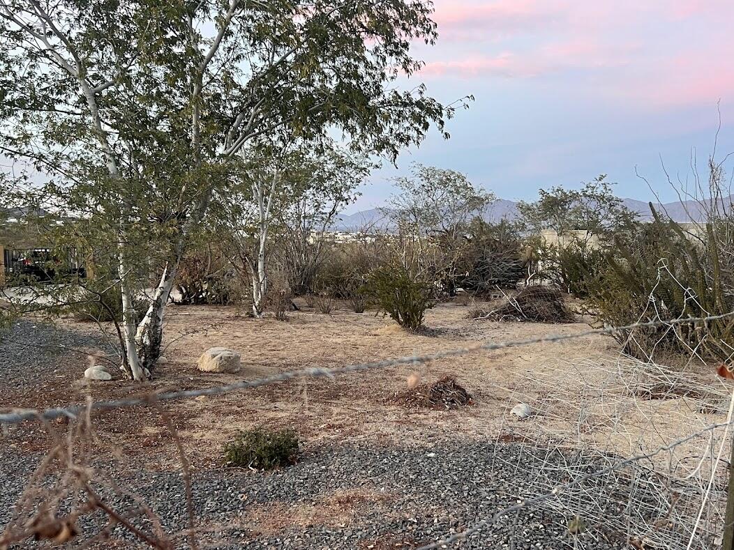 MLS #25-1038 image #11