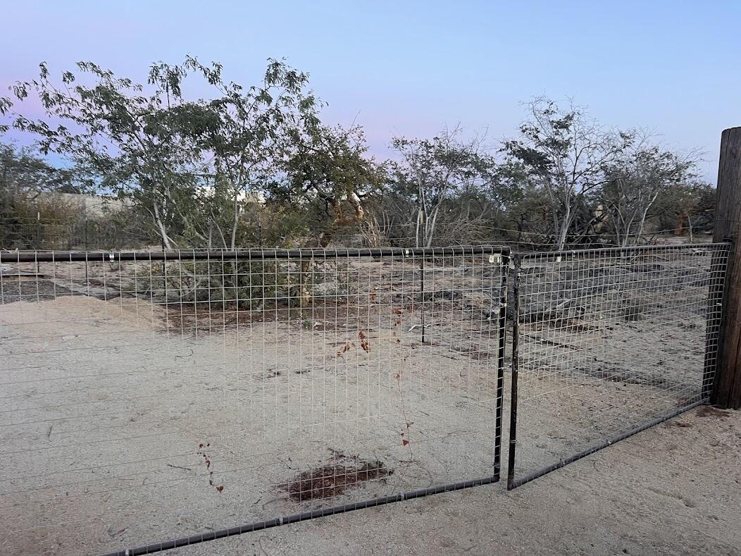 MLS #25-1038 image #12