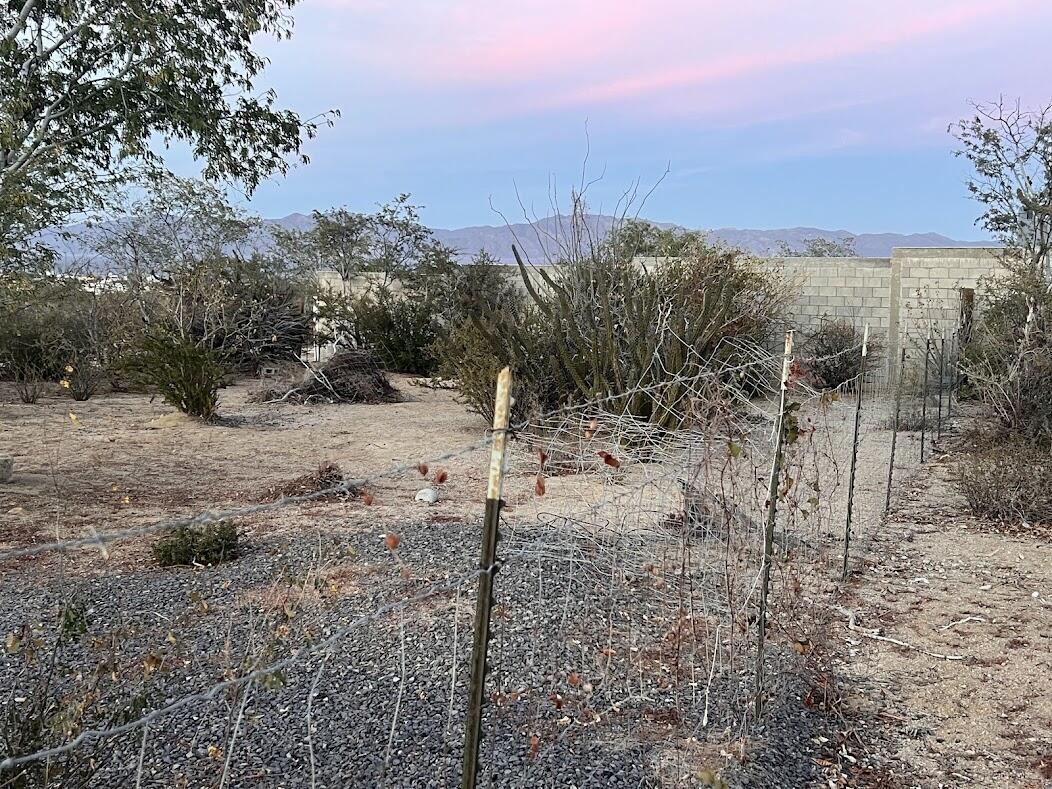 MLS #25-1038 image #13