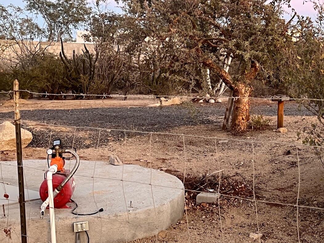 MLS #25-1038 image #14