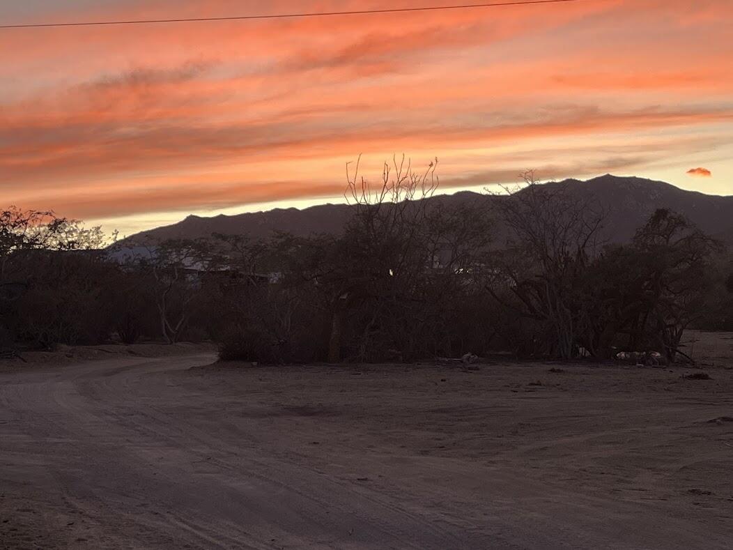 MLS #25-1038 image #17