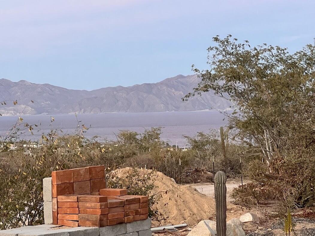 MLS #25-1038 image #2