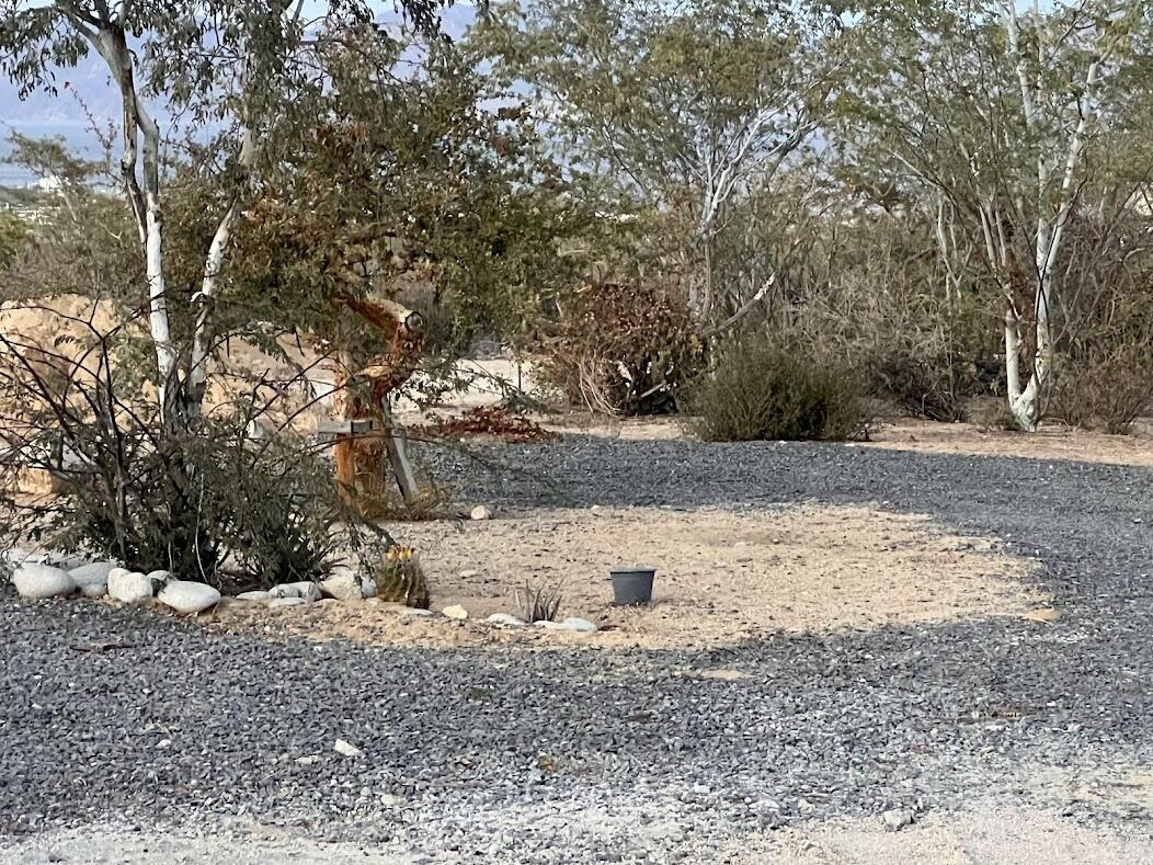 MLS #25-1038 image #5