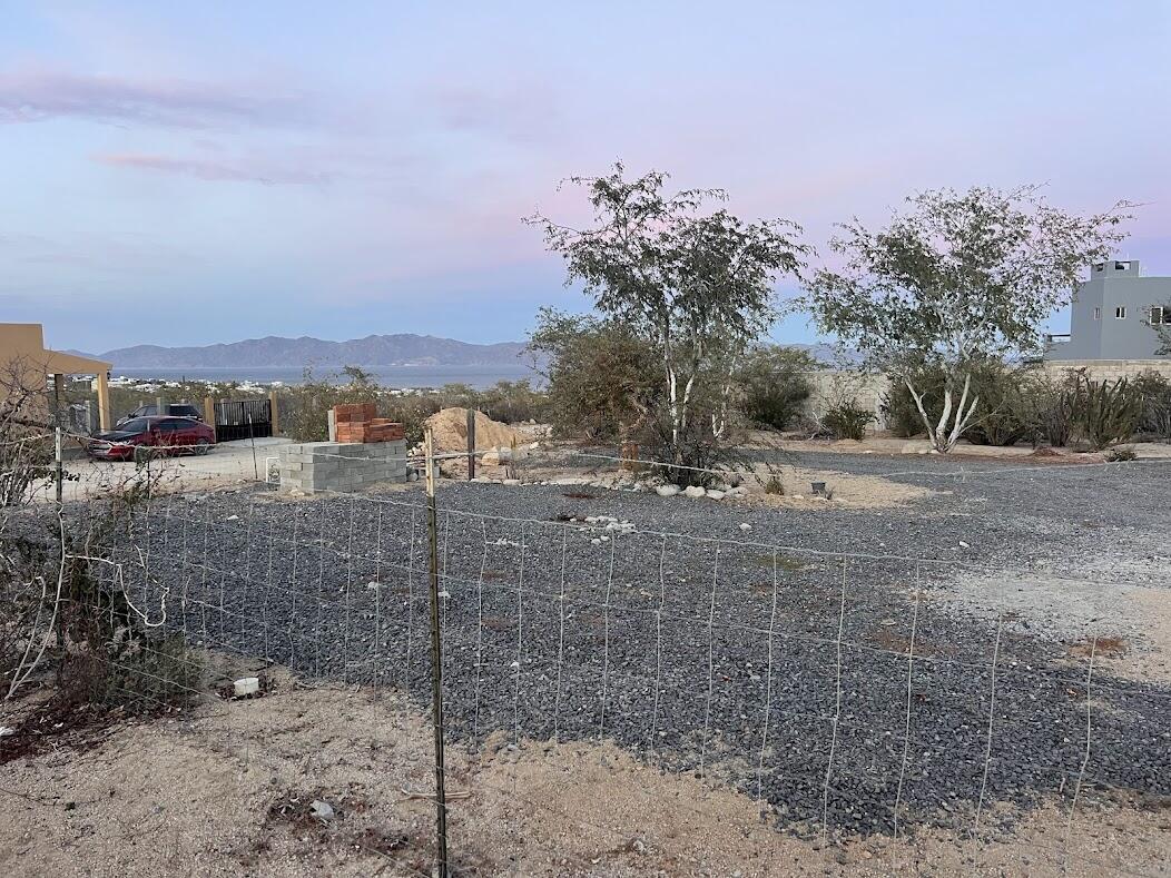 MLS #25-1038 image #6